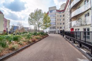 Photo 3- click for photo gallery